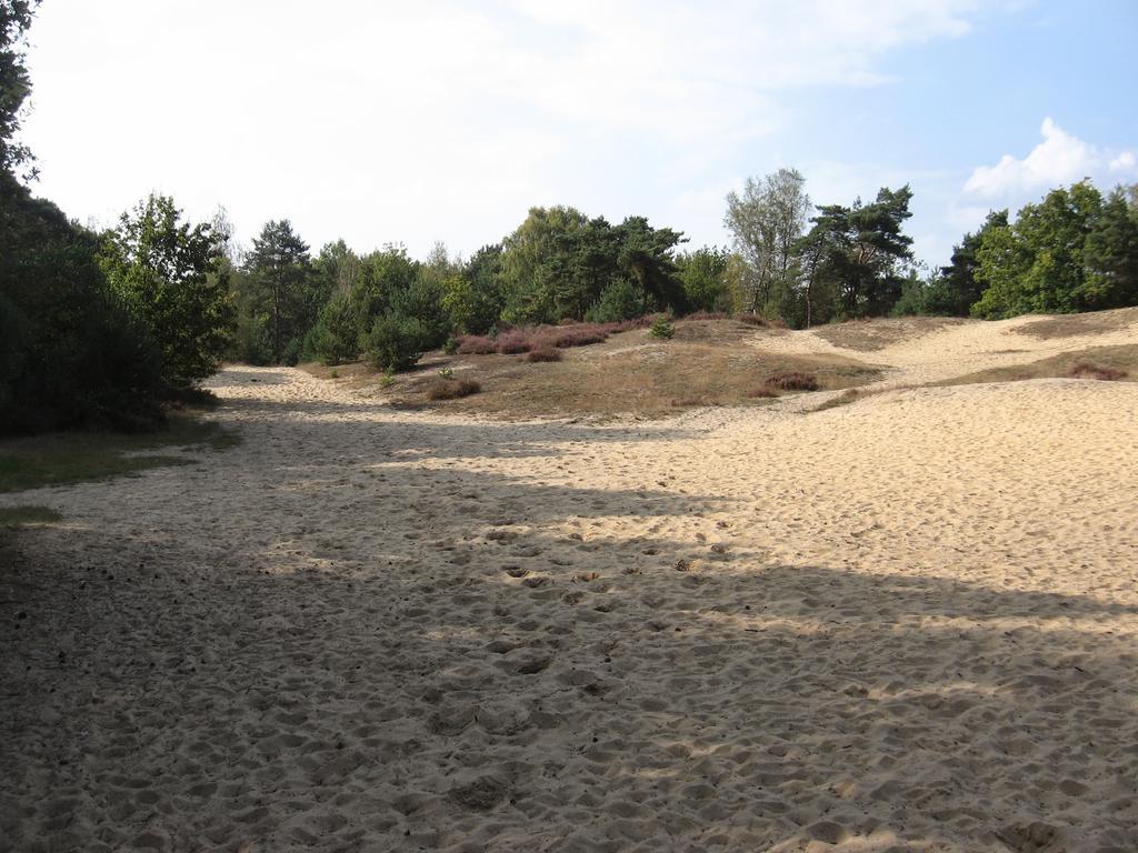 Landhuisjes Bij De Wouterbron Opglabbeek Exterior foto